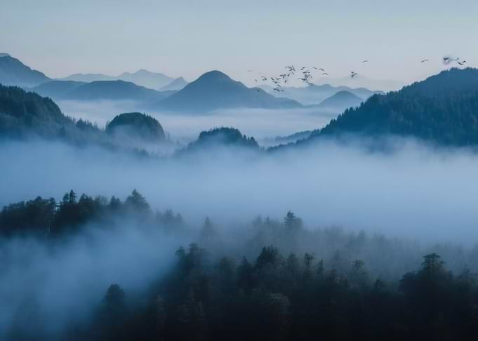 Misty Mountains at Dawn with Birds