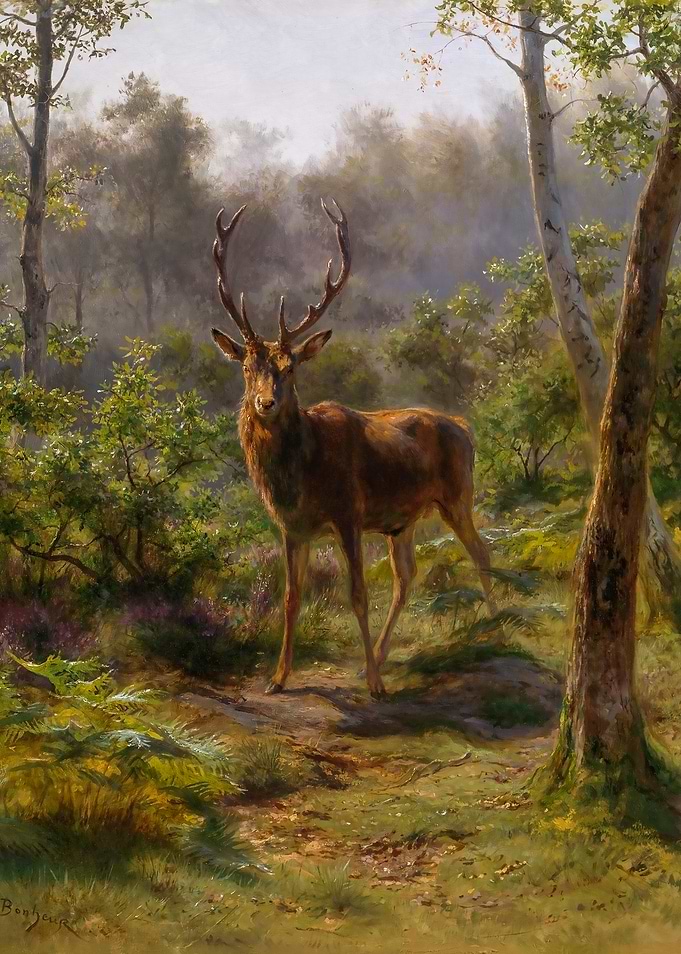 A Stag