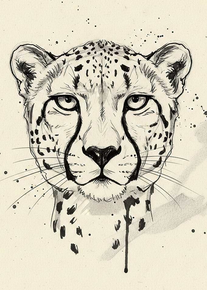 Cheetah Portrait with Splatter Effect poster design