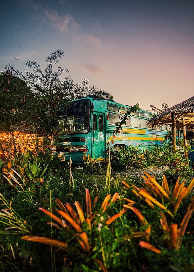 Abandoned Teal Bus in Tropical Overgrowth