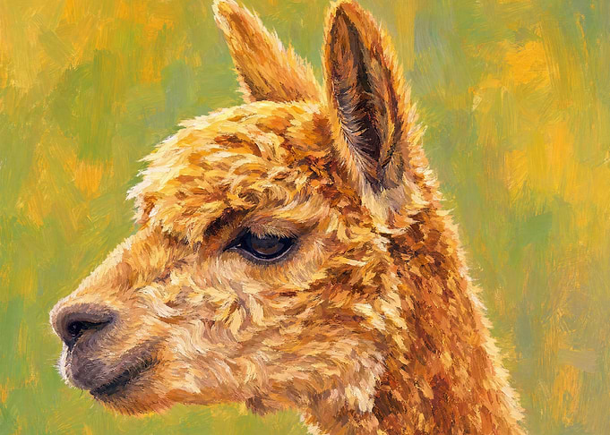 Close-up painting of an alpaca