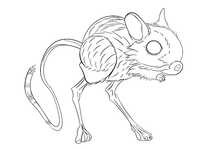 Jerboa Line Art