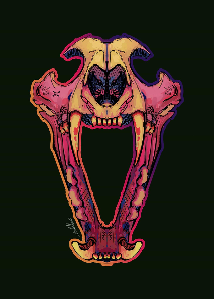 Colorful Saber-Toothed Cat Skull