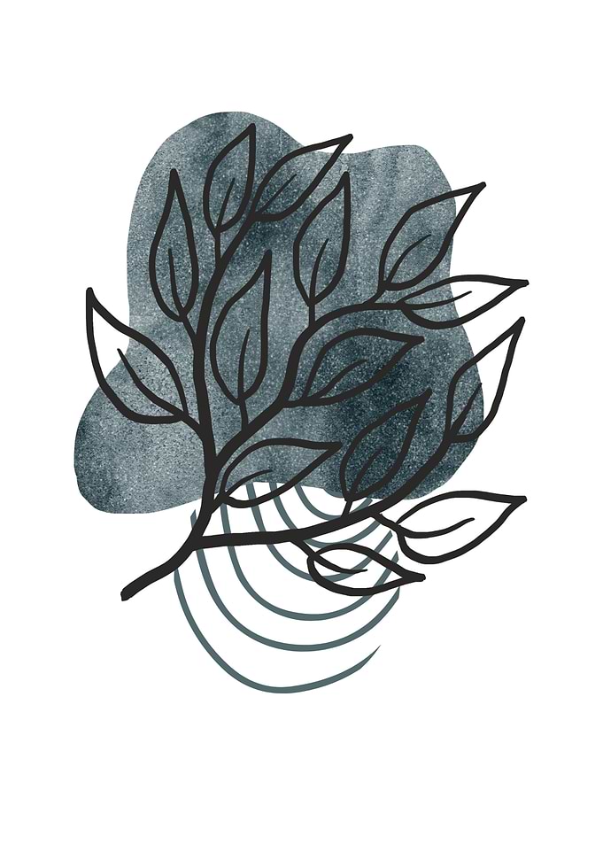 Abstract Botanical Line Art