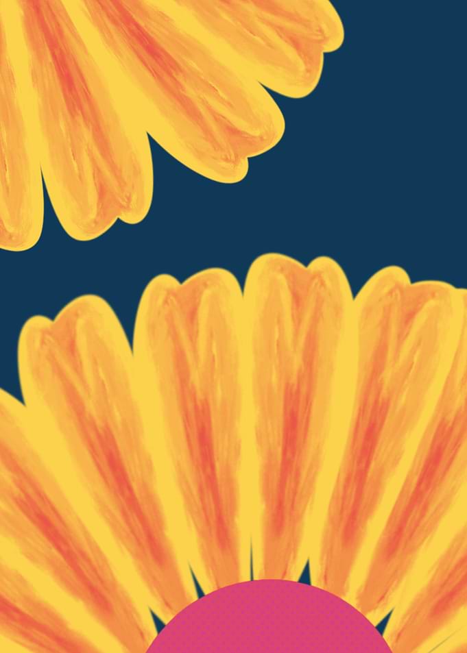 Vibrant Floral Petals on Dark Background