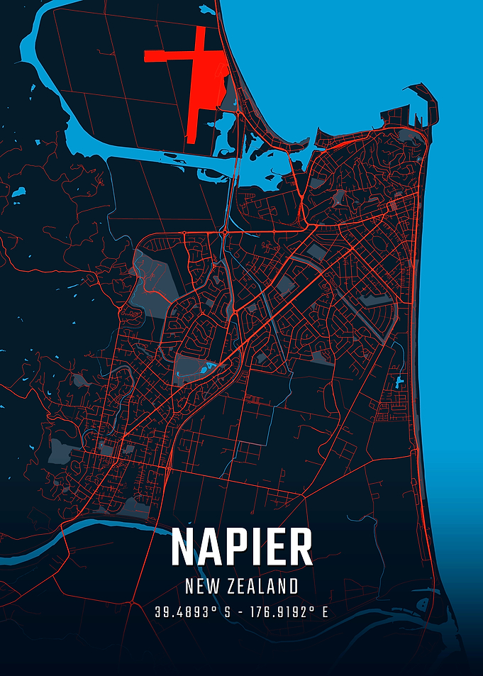 Napier New Zealand City Map