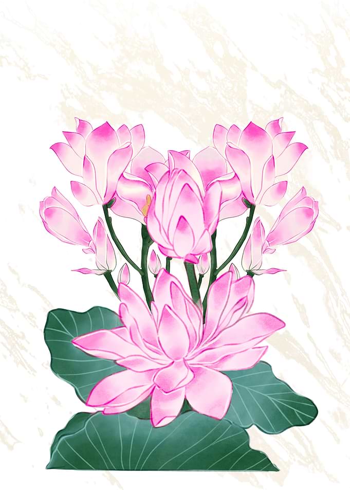 Pink Lotus Flowers with Green Leaves