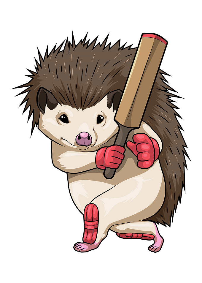 Hedgehog Cricket Cricket bat