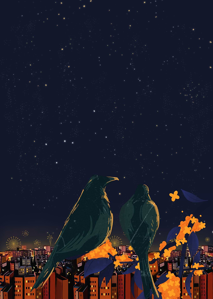 Two Birds Over a City at Night
