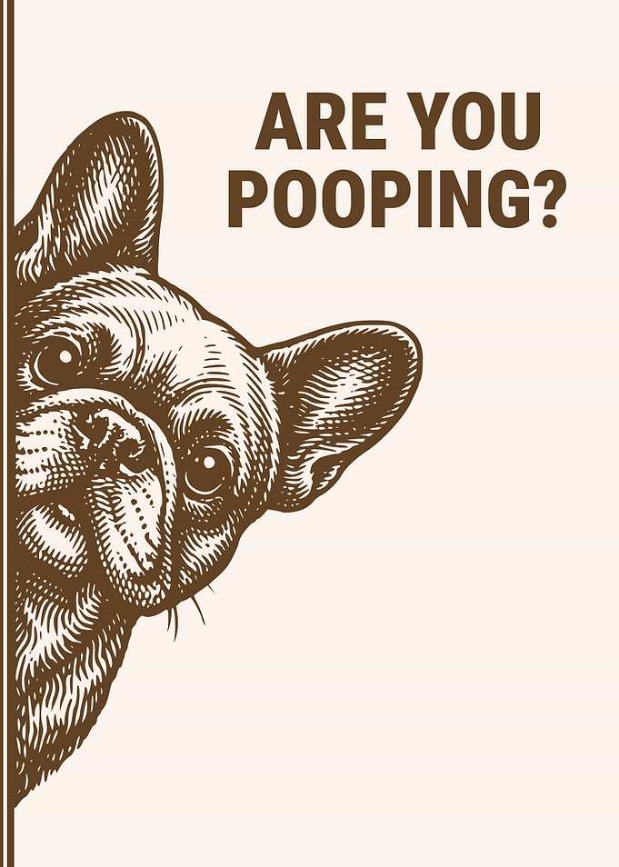 Are You Pooping? Curious Peeking French Bulldog Funny Frenchie Bathroom Humor