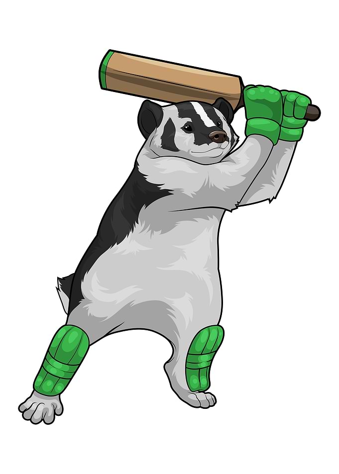 Badger Cricket Cricket bat