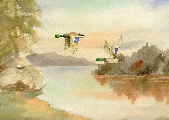 Ducks flying over a lake