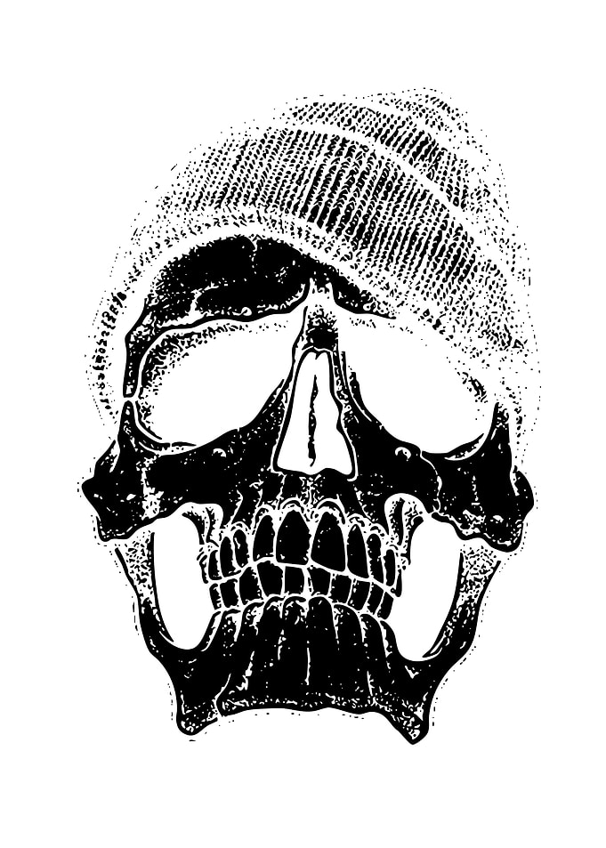 Skull Wearing a Beanie