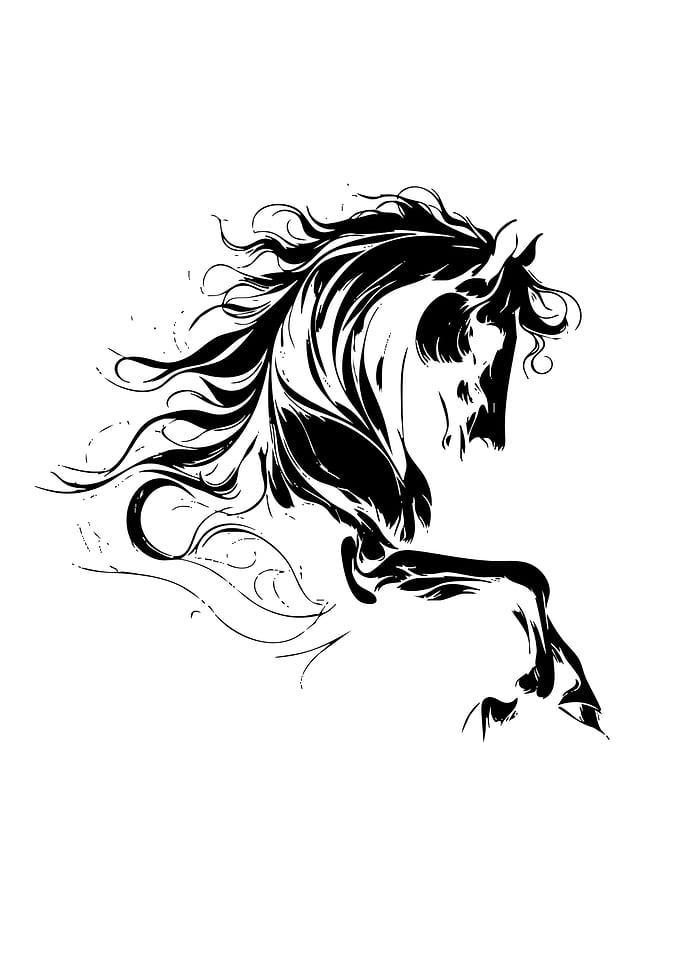 Stylized Black Horse Illustration