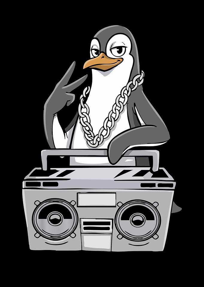 Penguin Lover Hip Hop Kids Music Boys Penguin