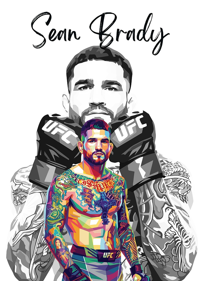 Sean Brady UFC Pop Art