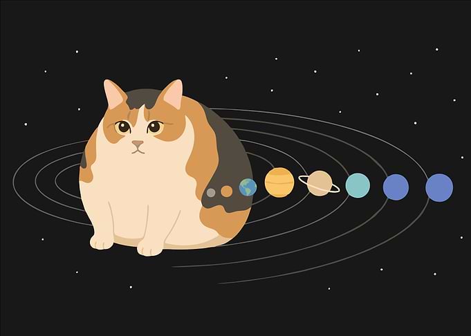 Chubby Cat as Solar System