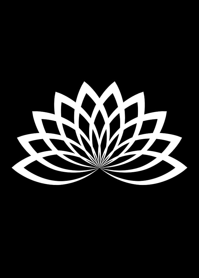 White Lotus Flower on Black Background