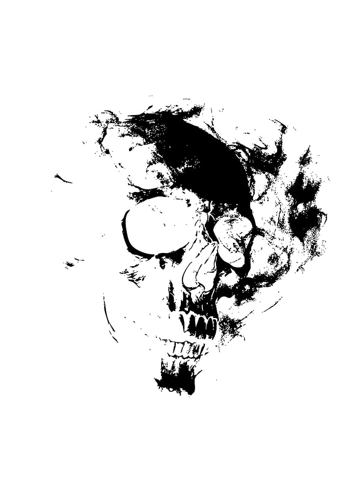 Abstract Skull Illustration
