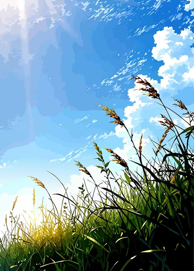 Grassy Field Under a Blue Sky