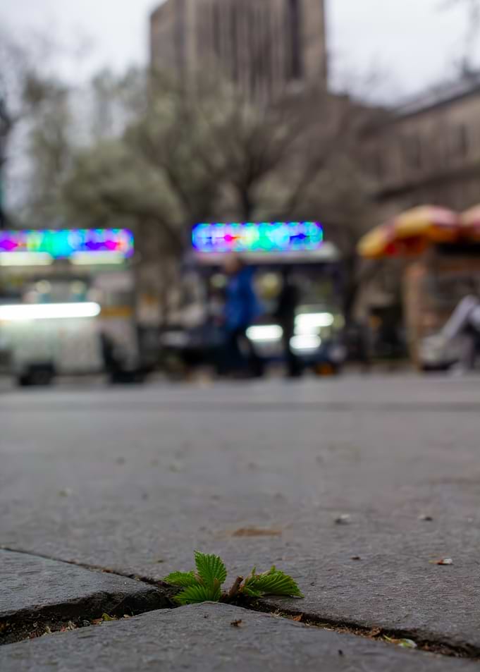 Urban Resilience