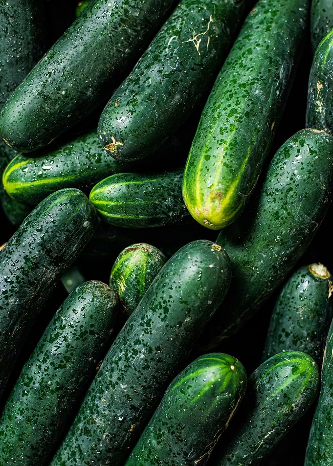 Fresh Cucumbers with Water Droplets