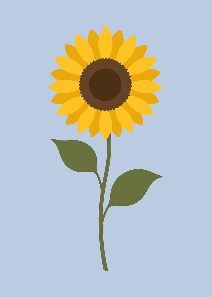 Minimalist Sunflower Illustration
