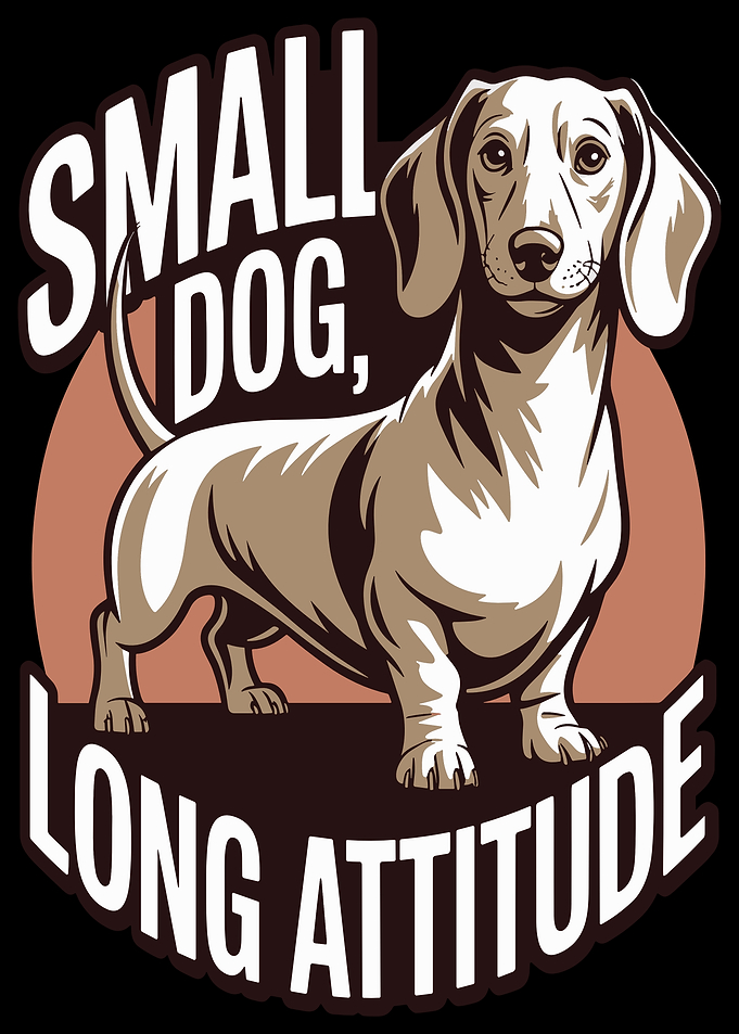 Dachshund Small Dog Long Attitude
