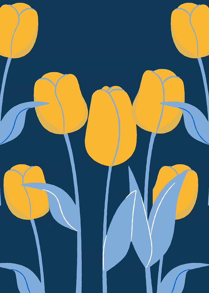 Yellow Tulips on Dark Blue Background