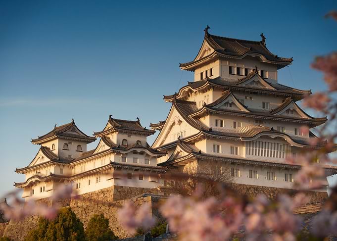 Himeji Castle with Cherry Blossoms
