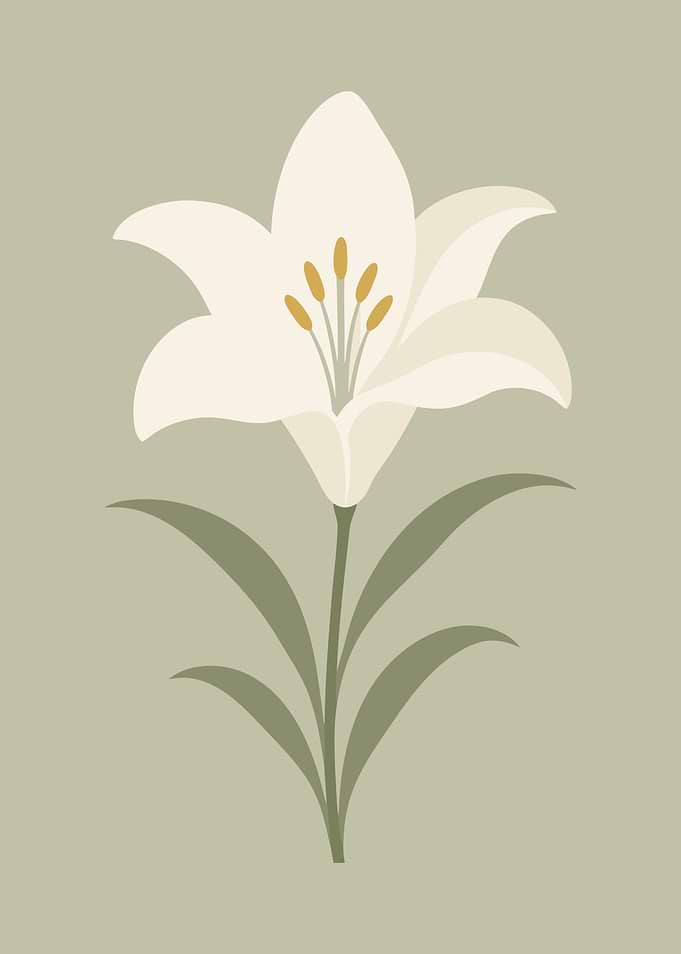 Lily Flower with Green Leaves
