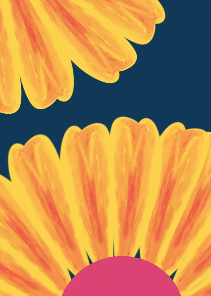 Close-up of Orange and Yellow Flower Petals