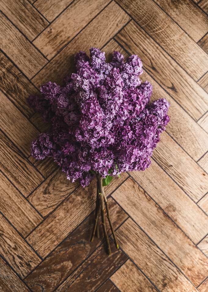 Purple Lilac Flowers on Wooden Background