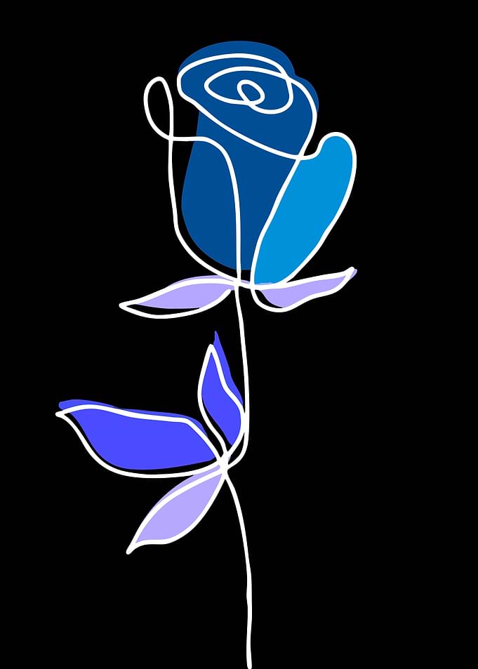 Single Line Blue Rose Illustration