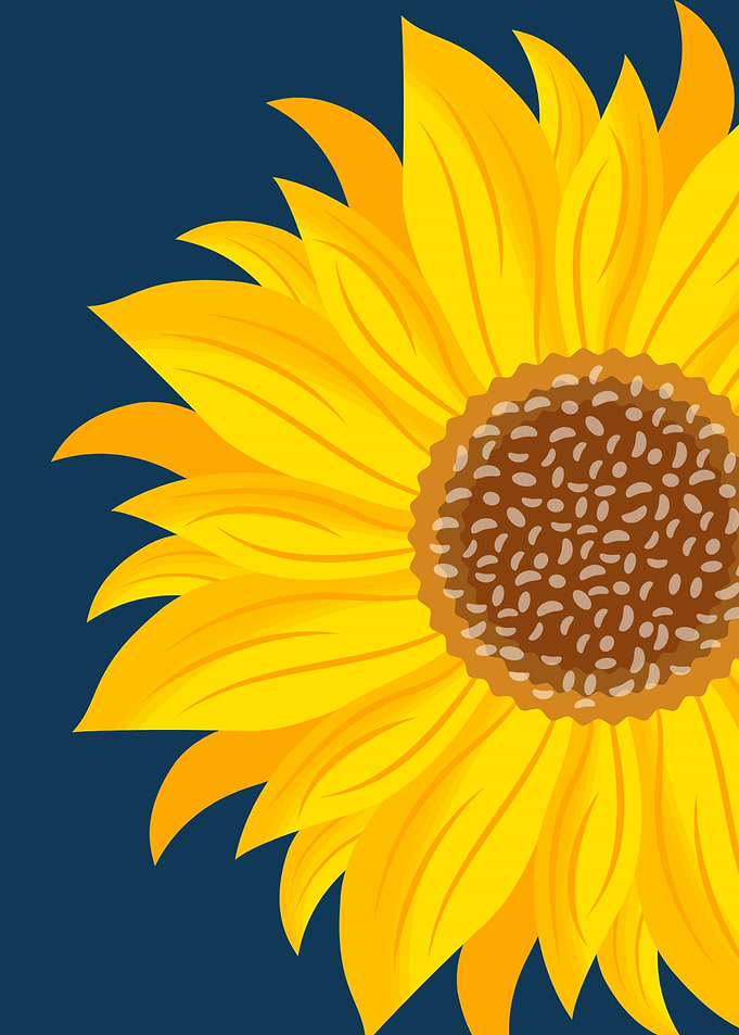 Close-up of a Sunflower
