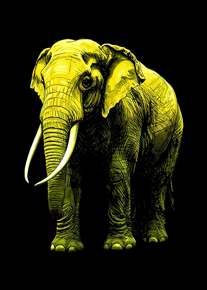 Yellow Elephant Illustration