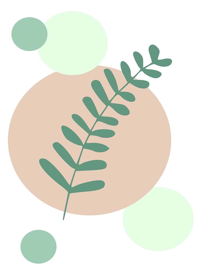 Abstract botanical illustration with circles