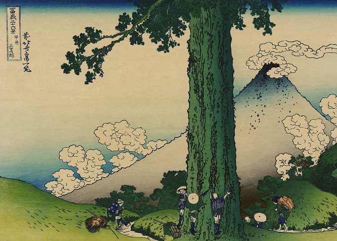 Mount Fuji and a Giant Tree
