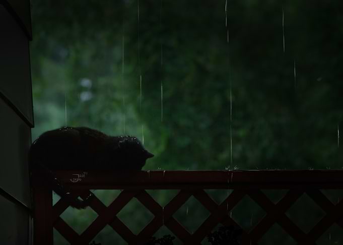 Black Cat - When it Rains, It Pours