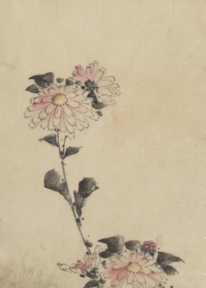 Japanese Chrysanthemum Painting