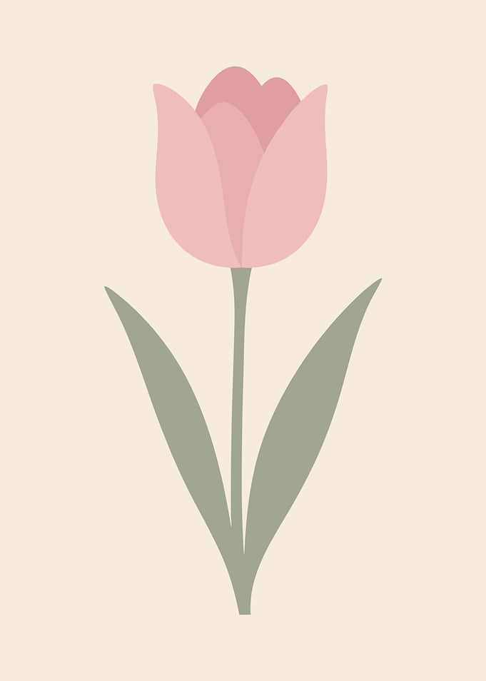 Minimalist Tulip Flower