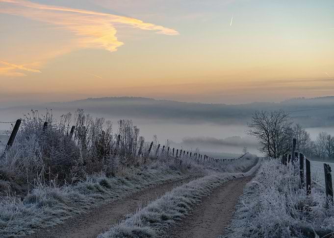 Frosty Winter Path at Sunrise