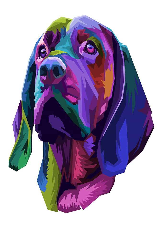 Colorful Dog Portrait