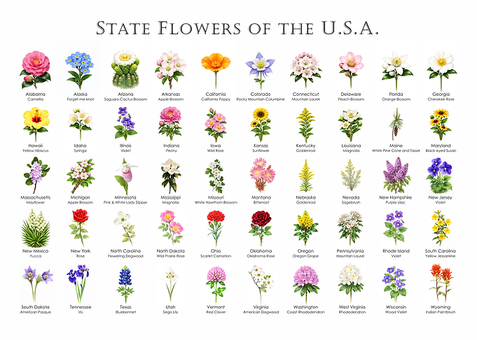State Flowers of the USA