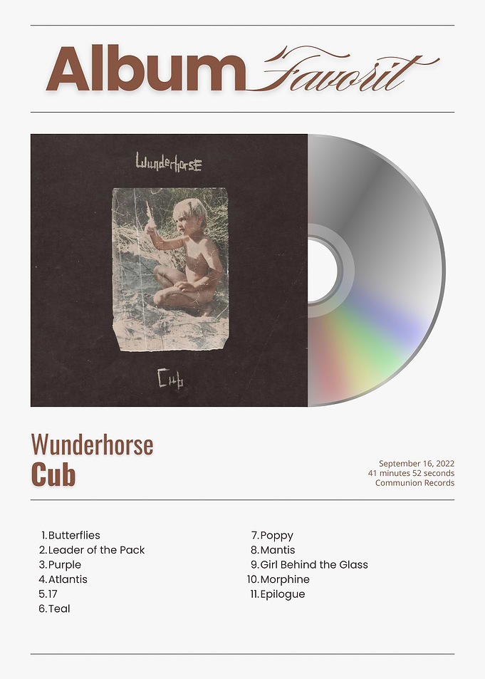 Wunderhorse Cub Album Cover