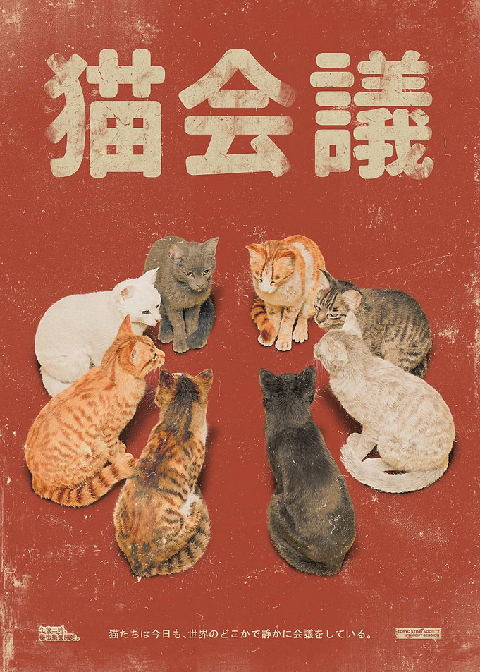 Cats Having a Meeting