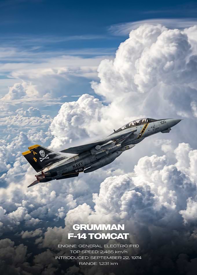 Grumman F-14 Tomcat in Clouds