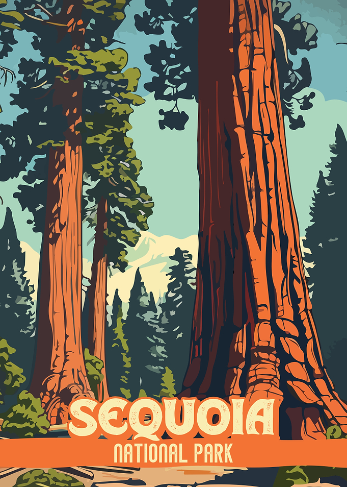 Sequoia National Park Vintage Poster