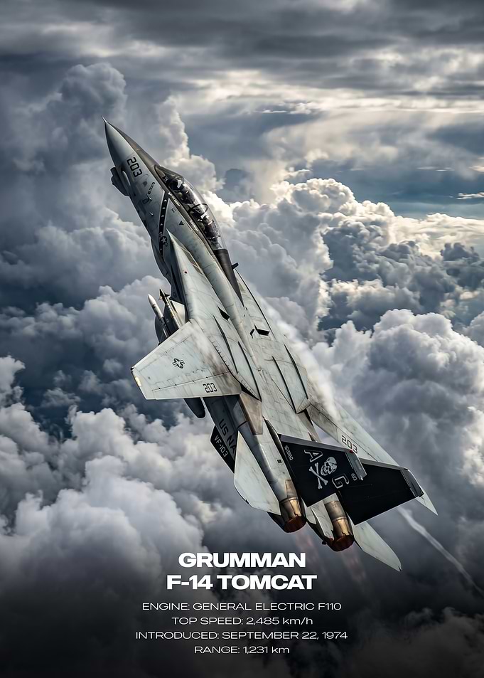 Grumman F-14 Tomcat