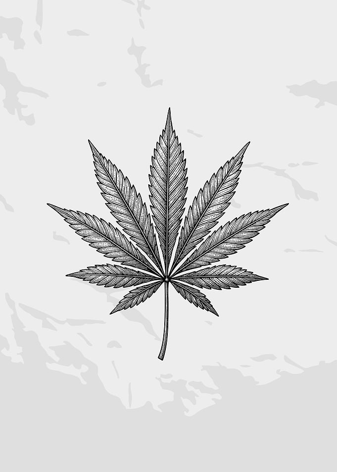 Black and White Cannabis Leaf Illustration